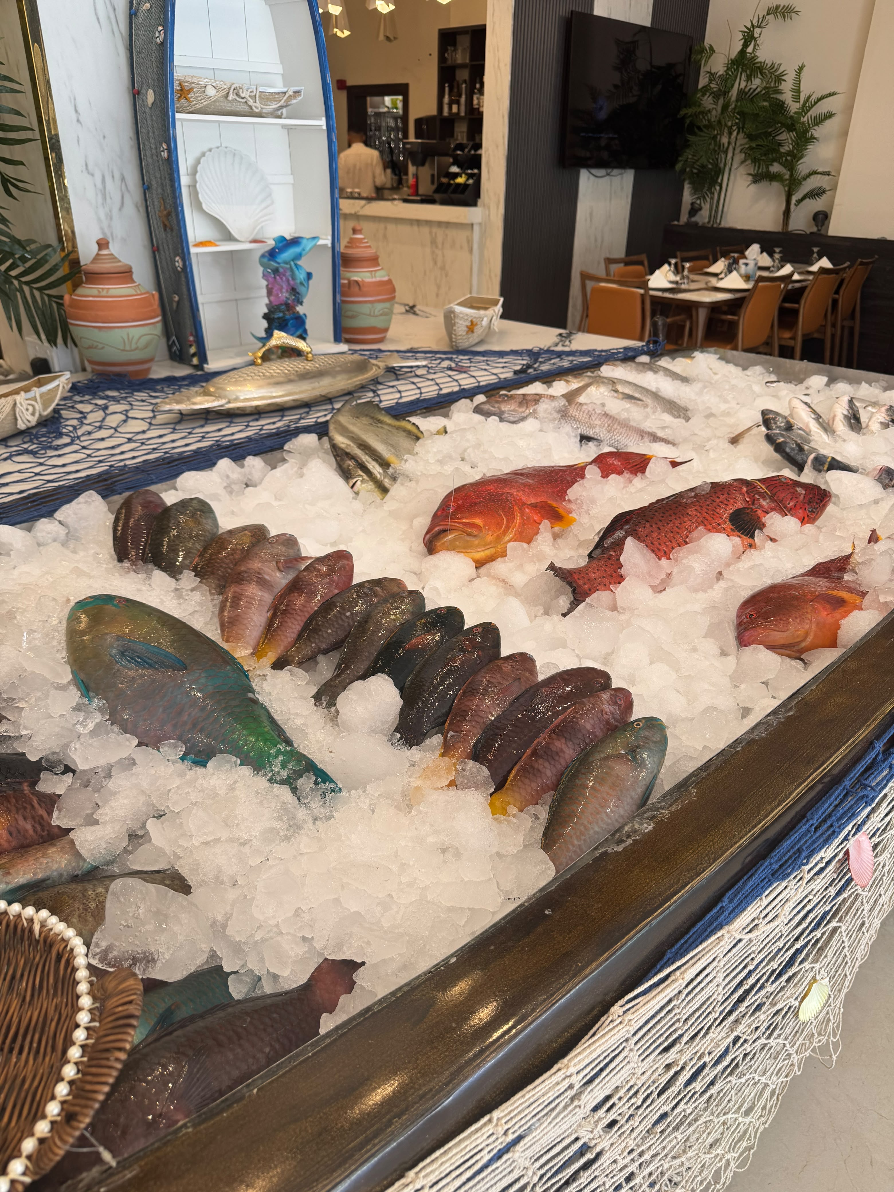 Reef fish arranged on crushed ice at the counter